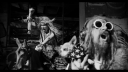 Dead_City_Radio_And_The_New_Gods_Of_Supertown_-_01489.jpg