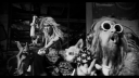 Dead_City_Radio_And_The_New_Gods_Of_Supertown_-_01491.jpg