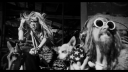 Dead_City_Radio_And_The_New_Gods_Of_Supertown_-_02420.jpg