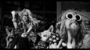 Dead_City_Radio_And_The_New_Gods_Of_Supertown_-_02421.jpg