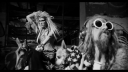 Dead_City_Radio_And_The_New_Gods_Of_Supertown_-_02454.jpg